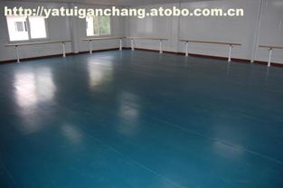 010,价格,厂家,供应商,舞蹈用品,沧州篮鲸文体器材设备厂 热卖促销